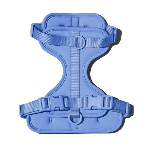 Royal Blue dachshund harness with padded chest support panel — Doxie Warehouse