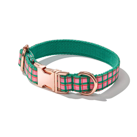 Gingham Collar