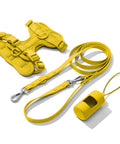 Yellow dachshund walk set with matching harness and leash — Doxie Warehouse