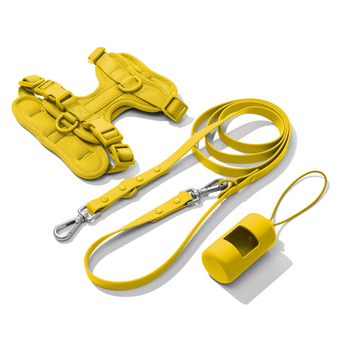 Yellow dachshund walk set with matching harness and leash — Doxie Warehouse