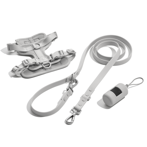 Doxie Walk Set