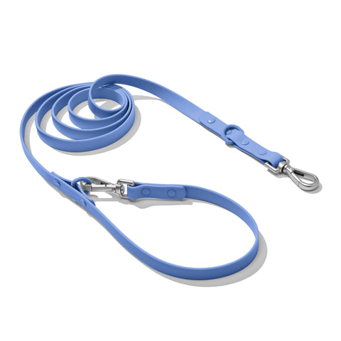 Royal Blue dachshund leash — Doxie Warehouse