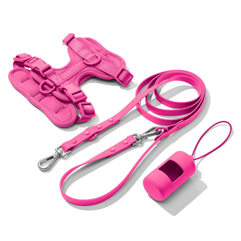 Hot Pink dachshund walk set with matching harness and leash — Doxie Warehouse