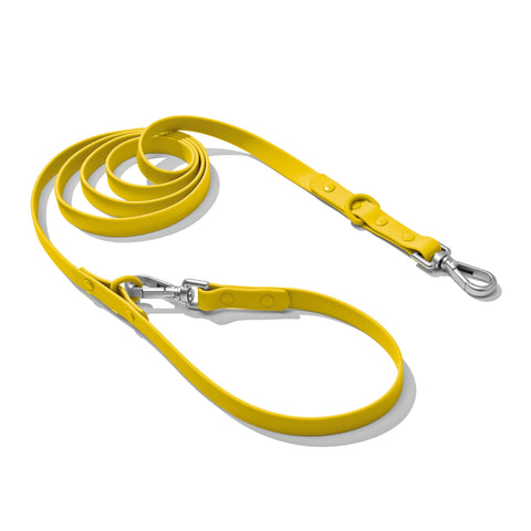 Yellow dachshund leash — Doxie Warehouse