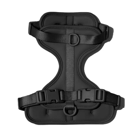 Black dachshund harness with padded chest support panel — Doxie Warehouse