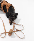 Dapple dachshund wearing a mocha brown walk set with matching leash — Doxie Warehouse