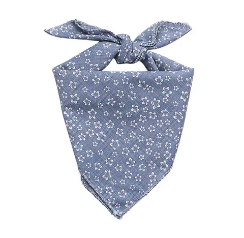 Doxie Bandana