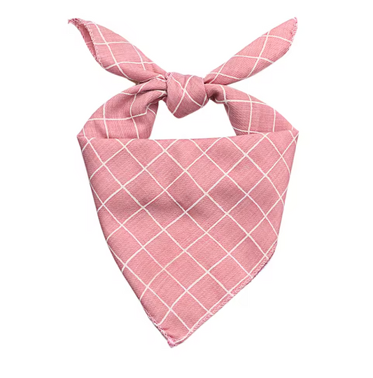 Doxie Bandana