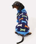 Standing mini dachshund wearing a knit dachshund sweater