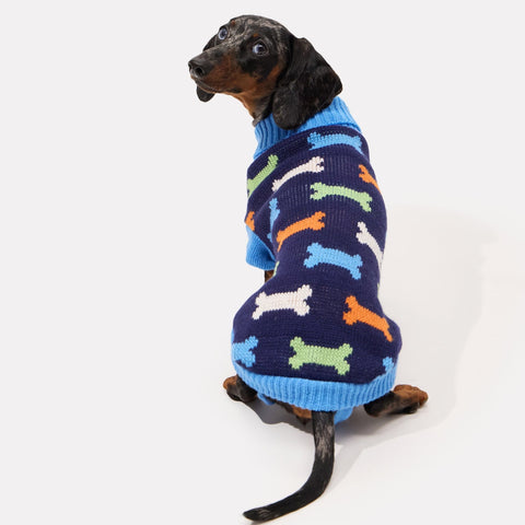 Dachshund sitting up in dog bones dachshund sweater - Doxie Warehouse