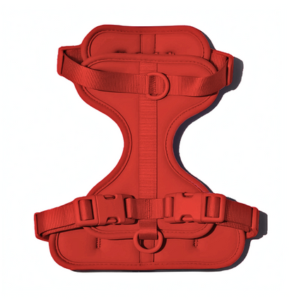 Doxie Harness