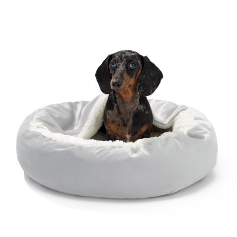 Burrow Beds