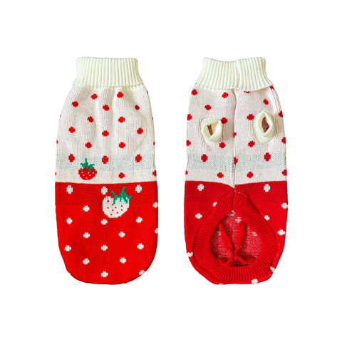 dachshund sweater-long back sweater