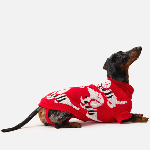 Dachshund lying down in a red dachshund-print sweater — Doxie Warehouse