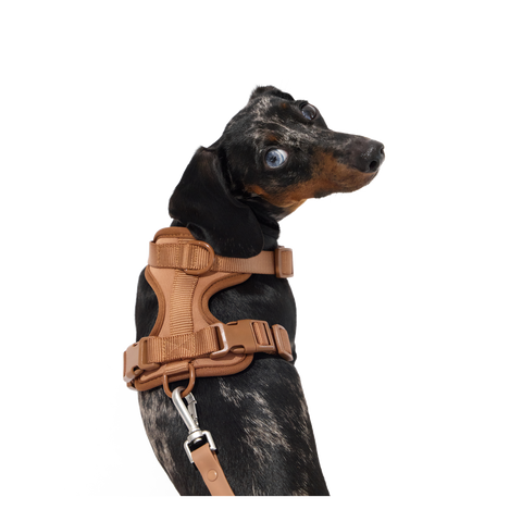 Harnesses