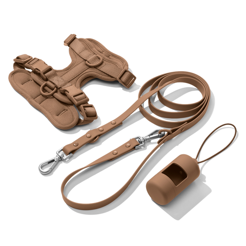 For Your Doxie